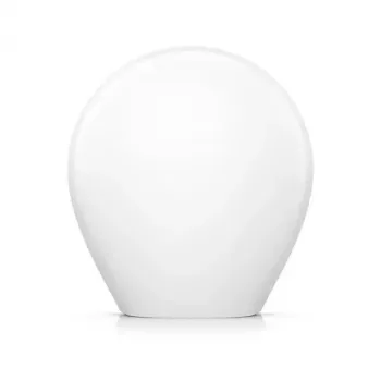 Ubiquiti G4 Dome rankinis laikiklis