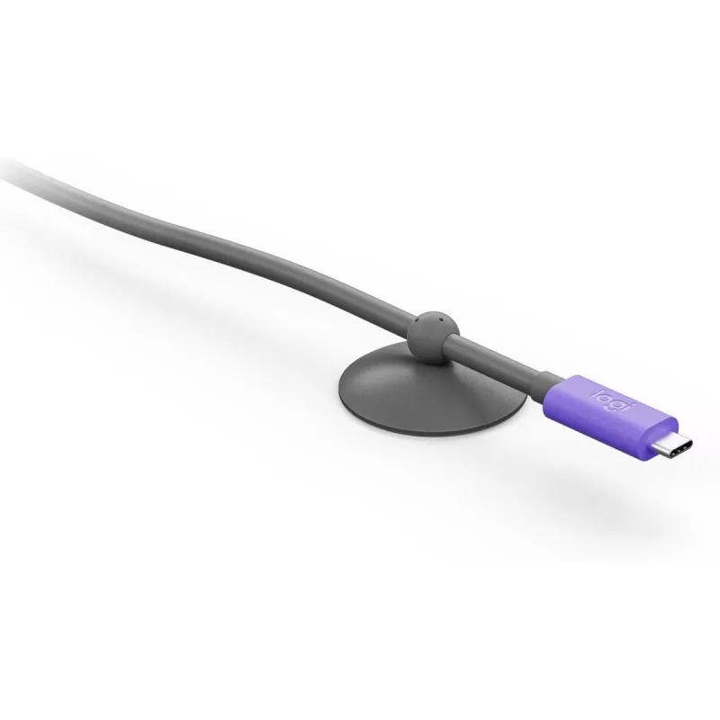 USB kabelis Logitech 952-000195 USB 3.2 Gen 2 5 m USB-C grafito violetinis