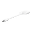 BELKIN NPA004BTWH USB-C adapteris su 3,5 mm garso lizdu ir įkrovimo prievadu baltas