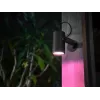 Philips Hue White and colour ambience Lily lauko prožektorius