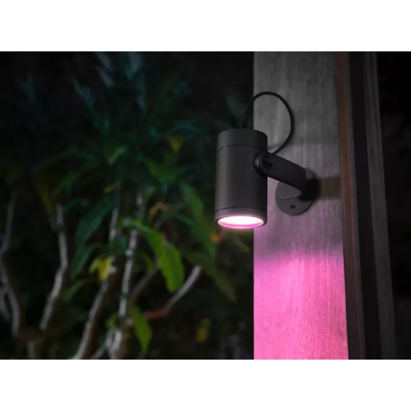 Philips Hue White and colour ambience Lily lauko prožektorius