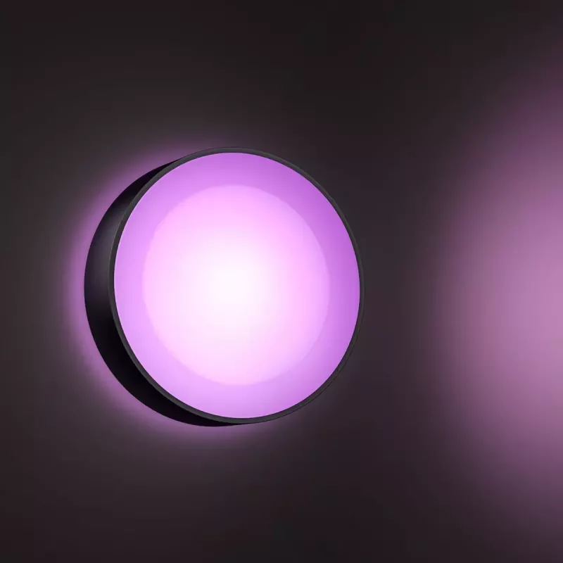 Philips Hue White and colour ambience Daylo lauko sieninis šviestuvas juodas