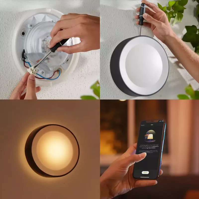 Philips Hue White and colour ambience Daylo lauko sieninis šviestuvas juodas