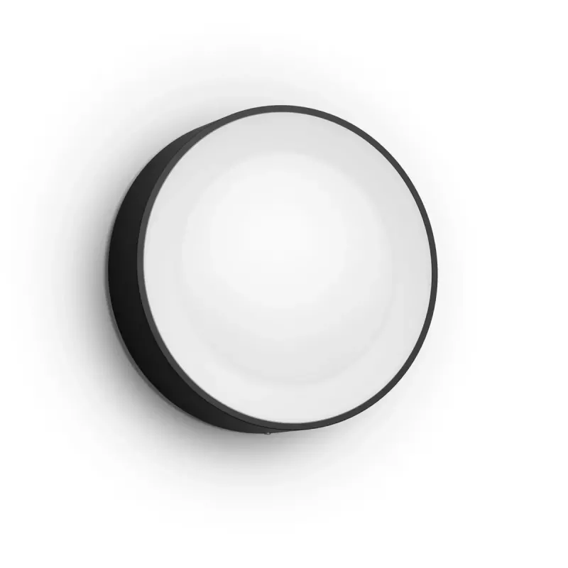 Philips Hue White and colour ambience Daylo lauko sieninis šviestuvas juodas