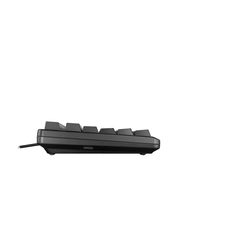 CHERRY G80-3000N RGB TKL klaviatūra laidinė USB QWERTZ vokiška juoda