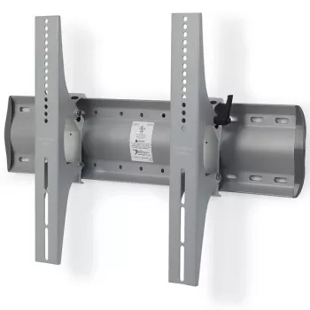 Ergotron Tm pasvirantis sieninis laikiklis (sidabrinis) (61-142-003)