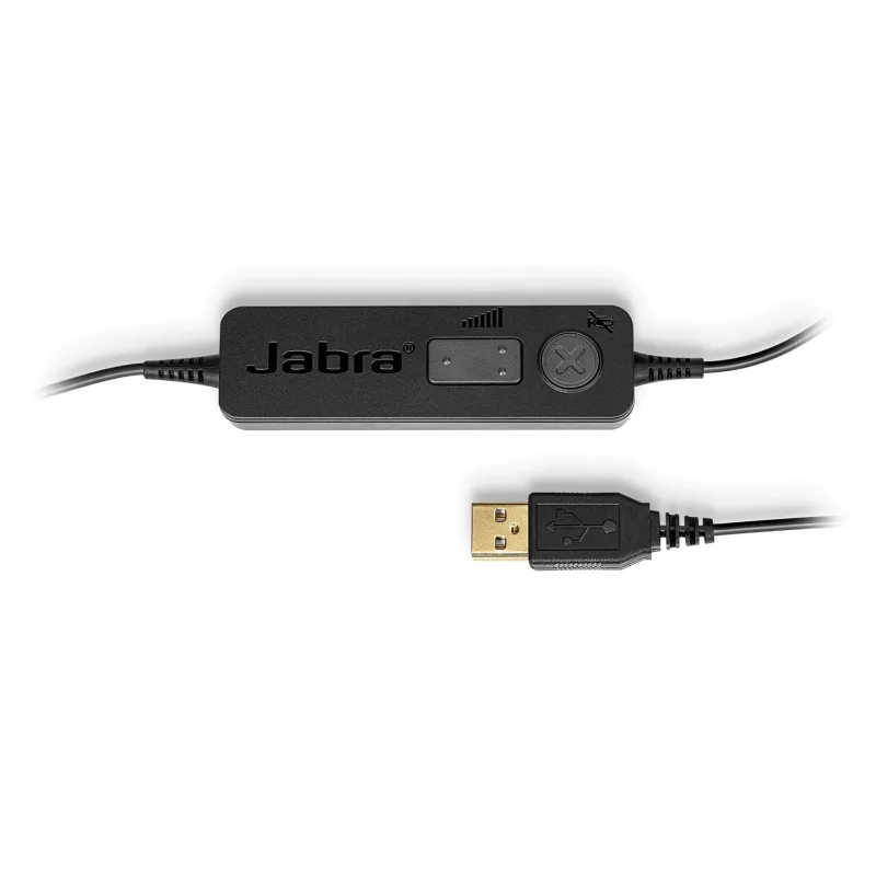 Ausinės su mikrofonu Jabra BIZ 1100 EDU DUO USB