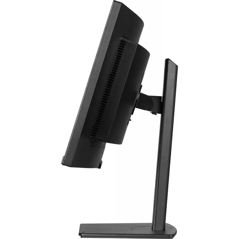Monitorius iiyama ProLite XCB3497WQSNP-B1 86,4 cm (34 inch) 3440 x 1440 UltraWide Quad HD LED juodas