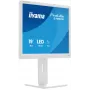 Monitorius iiyama ProLite B1980S-W1 48,3 cm (19 colių) 1280 x 1024 pikselių LED baltas
