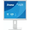 Monitorius iiyama ProLite B1980S-W1 48,3 cm (19 colių) 1280 x 1024 pikselių LED baltas