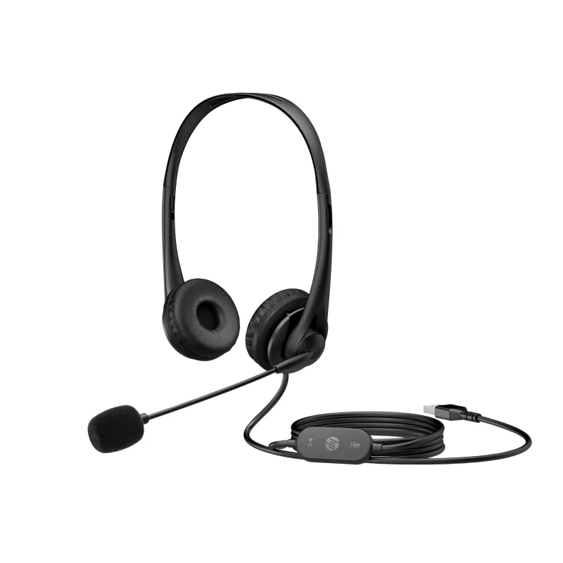 Ausinės HP Stereo USB Headset G2