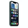 APPLE Silikoninis dėklas iPhone 16e Ežero žalia