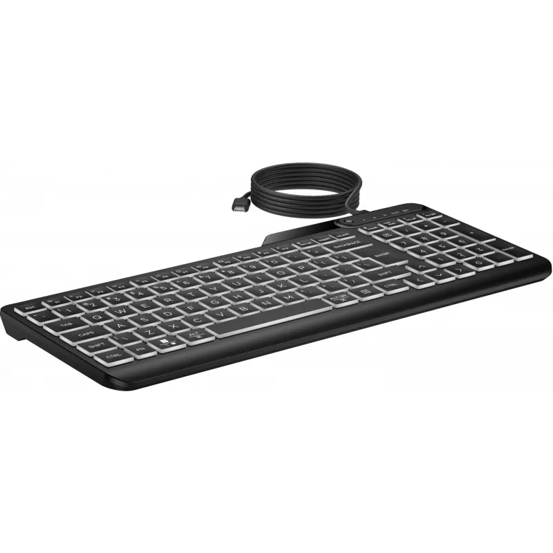 HP 405 kelių įrenginių apšviesta laidinė klaviatūra, pilno dydžio (100%), laidinė, USB, membraninė, QWERTY, juoda
