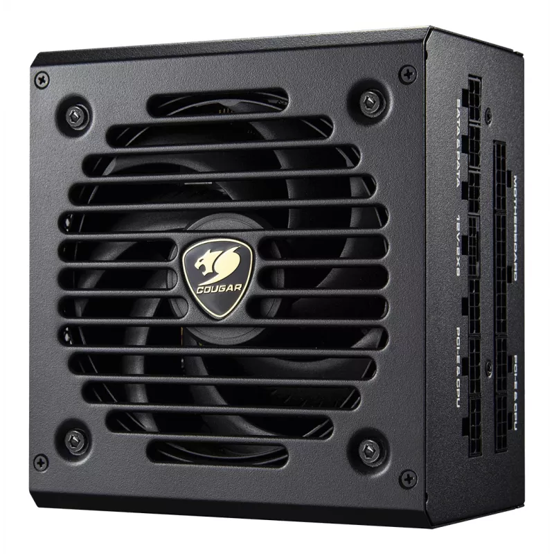 COUGAR maitinimo blokas GEX PRO 850W ATX3.1 / 80 Plus Gold / modulinis