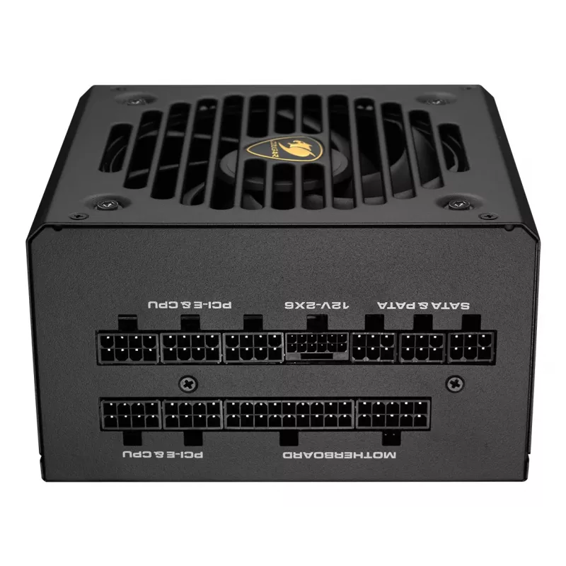 COUGAR maitinimo blokas GEX PRO 850W ATX3.1 / 80 Plus Gold / modulinis