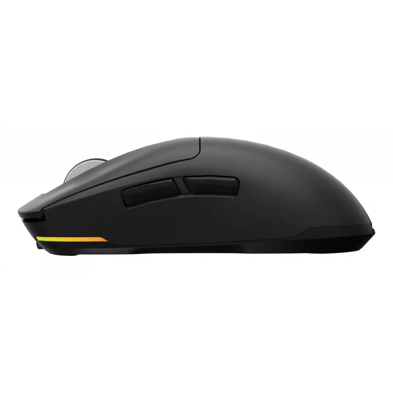 GENESIS Zircon 660 pelė žaidimams Dešininei rankai RF belaidis + Bluetooth + USB Type-A Optinė 12000 DPI