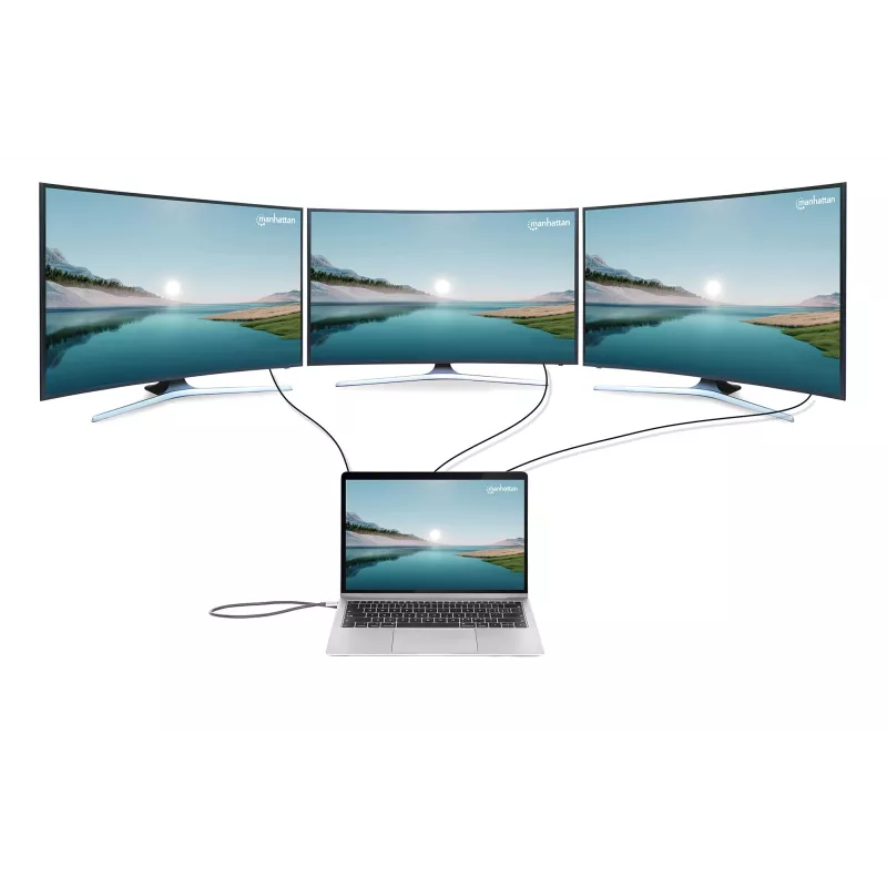 Dokų stotis / USB-C 10 prievadų Manhattan 4K 60Hz Power Delivery