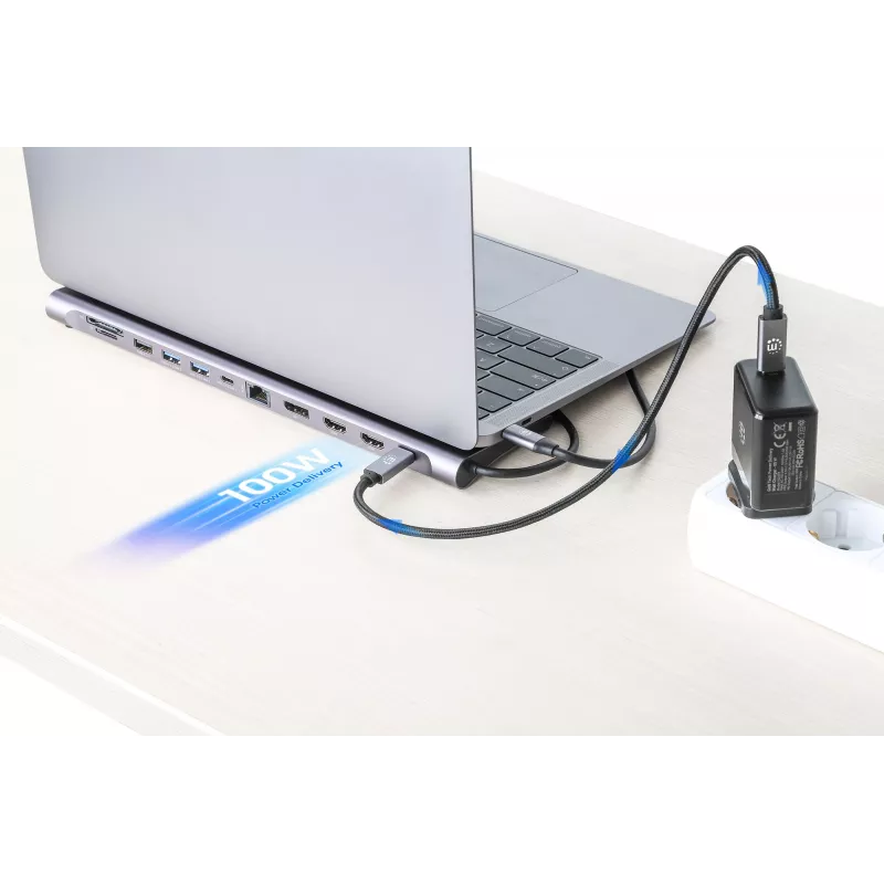 Dokų stotis / USB-C 10 prievadų Manhattan 4K 60Hz Power Delivery