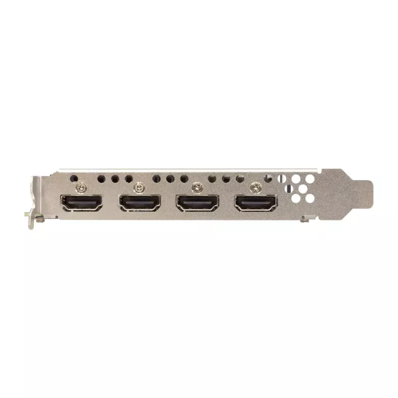 Vaizdo plokštė Sparkle Intel Arc A310 OMNI View — 4 GB GDDR6, 2000 MHz, PCIe 4.0 x8