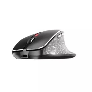 CHERRY MW 8C ERGO pelė dešinei rankai belaidė RF + Bluetooth optinė 3000 DPI
