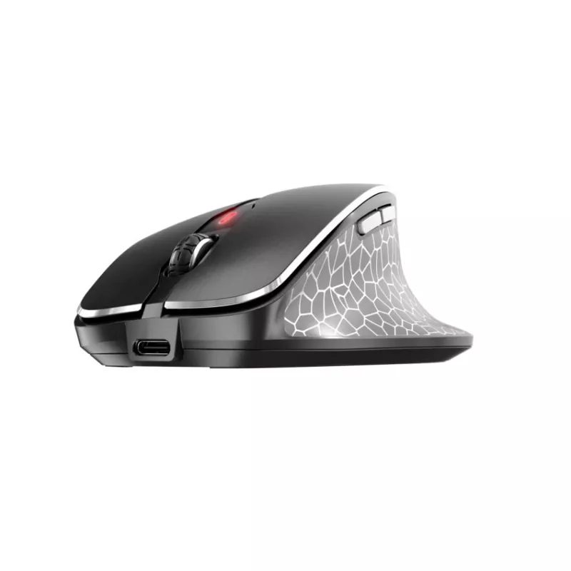 CHERRY MW 8C ERGO pelė dešinei rankai belaidė RF + Bluetooth optinė 3000 DPI