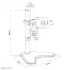 Neomounts monitorio stovas FPMA-D550SBLACK laisvai pastatomas 8 kg 13-32 col.
