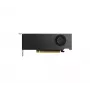 NVIDIA RTX 2000 Ada Generation vaizdo plokštė