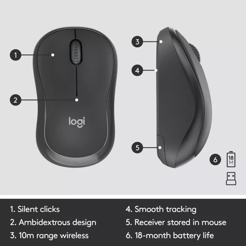 LOGITECH MK295 tylus belaidis rinkinys grafito spalvos AZERTY belgiškas
