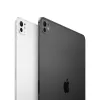 APPLE iPad Pro M5 - 13 colių - Wi-Fi - 256 GB - Standartinis stiklas - Kosminė juoda