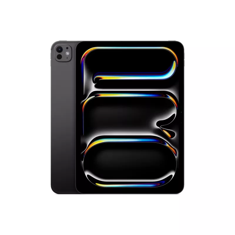 APPLE iPad Pro M5 11 colių Wi-Fi + Cellular 256 GB standartinis stiklas Kosminė juoda