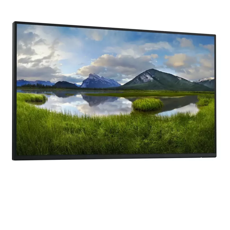 DELL Pro Plus P2425HE_WOST kompiuterio monitorius 61 cm (24 col.) 1920 x 1080 pikselių Full HD LCD juodas