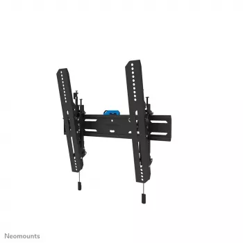 TV laikiklis prie sienos Neomounts WL35S-850BL14 Max svoris 50 kg 32-75 col.