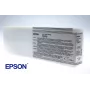 Epson Singlepack Light Light Black T591900, pigmentiniai rašalai, 700 ml, 1 vnt.