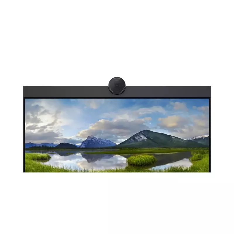 DELL P2424HEB 60.5 cm (23.8 colio) LCD 1920 x 1080 pikselių Full HD monitorius