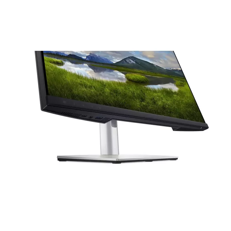 DELL P2424HEB 60.5 cm (23.8 colio) LCD 1920 x 1080 pikselių Full HD monitorius