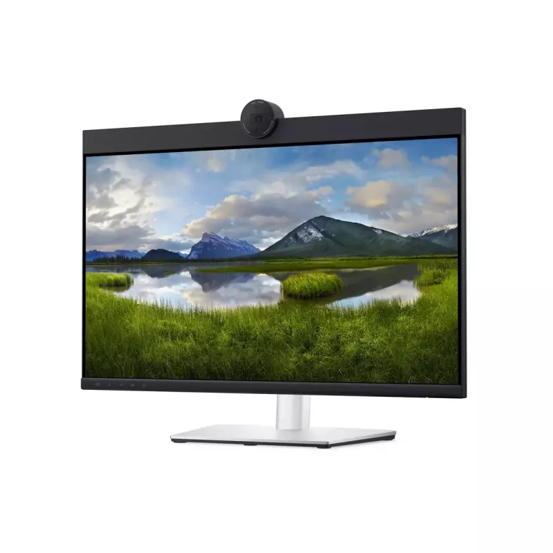 DELL P2424HEB 60.5 cm (23.8 colio) LCD 1920 x 1080 pikselių Full HD monitorius