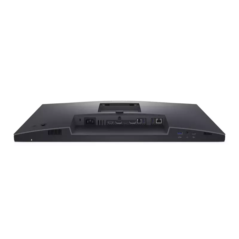 DELL P2424HEB 60.5 cm (23.8 colio) LCD 1920 x 1080 pikselių Full HD monitorius