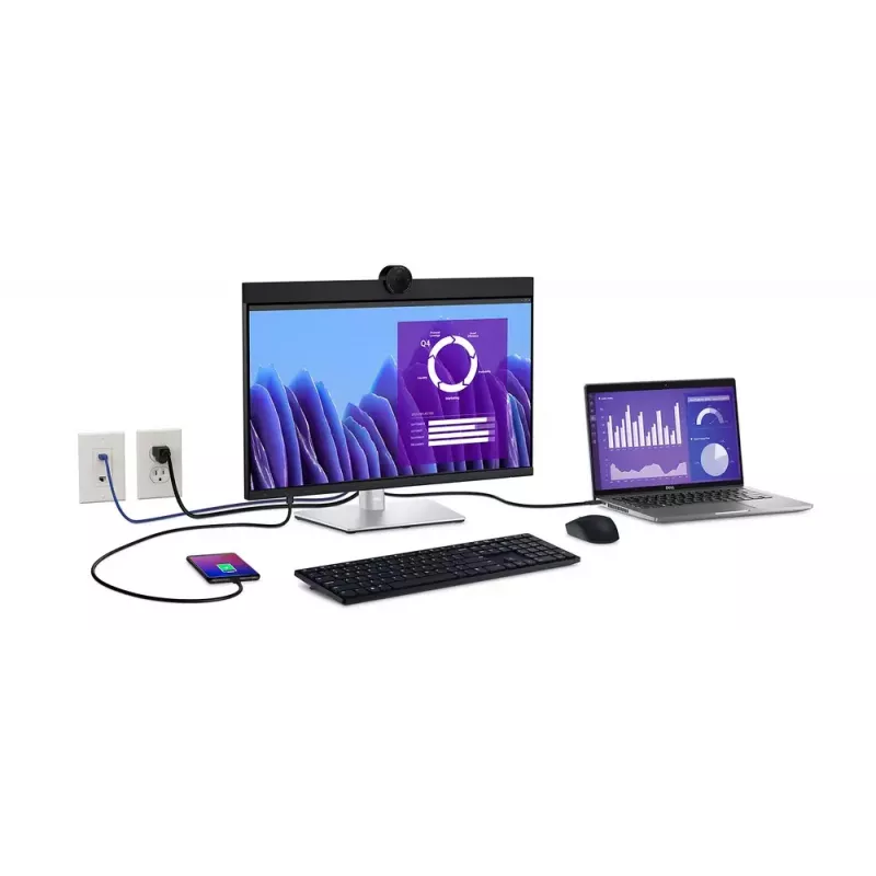 DELL P2424HEB 60.5 cm (23.8 colio) LCD 1920 x 1080 pikselių Full HD monitorius