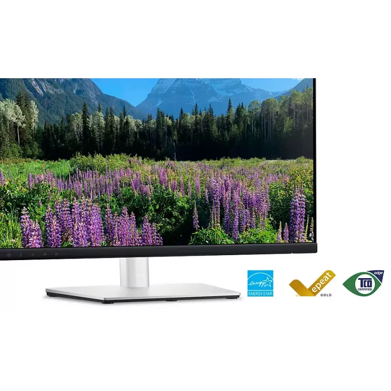 DELL P2424HEB 60.5 cm (23.8 colio) LCD 1920 x 1080 pikselių Full HD monitorius