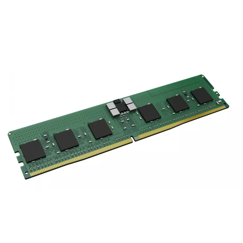 Kingston Technology 16 GB DDR5 5600MT/s ECC Registruotas DIMM CL46 1RX8 1.1V