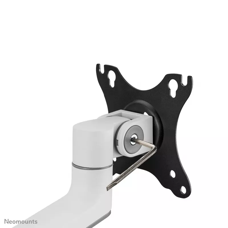 Neomounts DS60-425WH1 Monitoriaus ranka 17-27 colių - vietą taupanti, spaustuvas/įvorė, 8 kg, 43,2 cm (17 col.), 68,6 cm (27 col.), 100 x 100 mm, balta