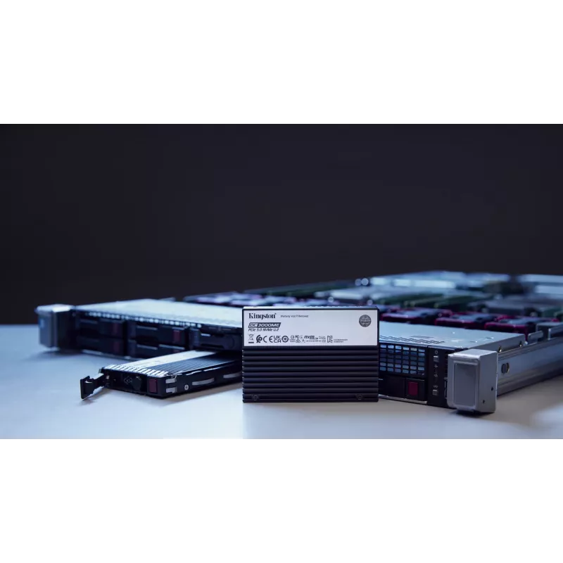 Kingston Technology DC3000ME 7.68TB U.2 PCIe 5.0 NVMe TCG Opal Enterprise SSD