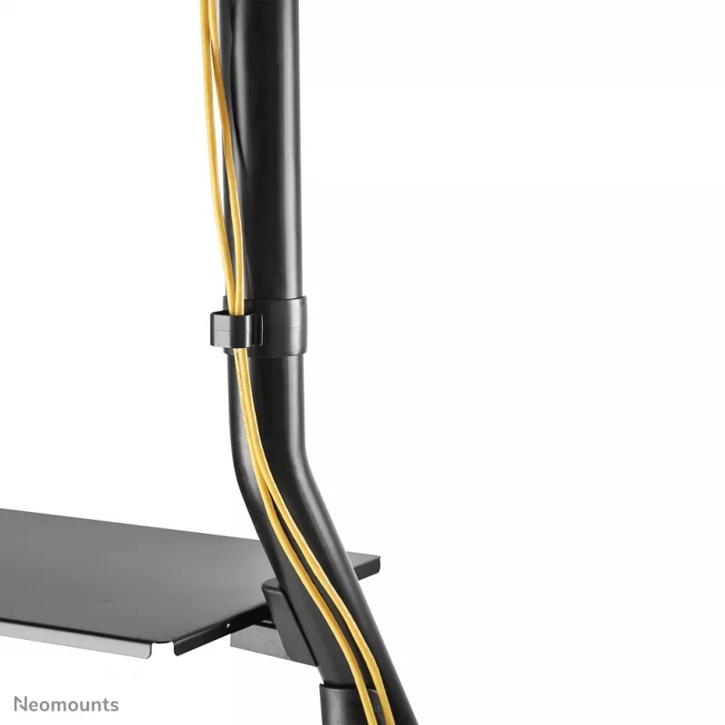 Neomounts NS-M3800BLACK mobilus stovas televizoriams 60-100 colių