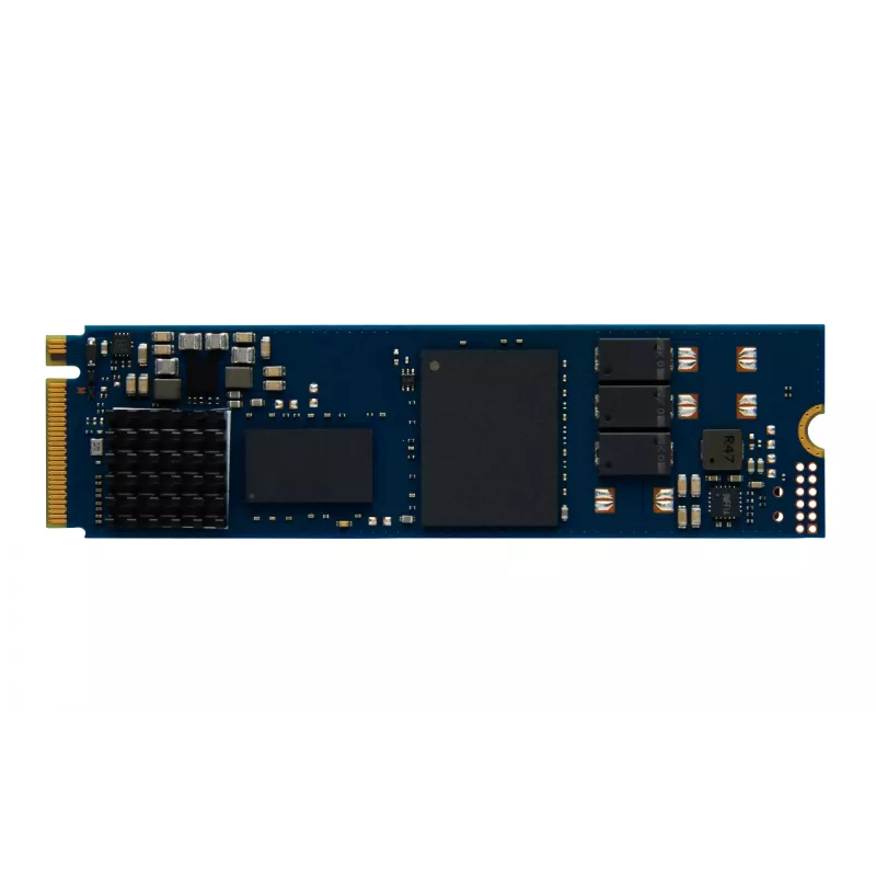 Kingston Technology DC2000B 480GB PCIe 4.0 M.2 2280 Įmonės SSD