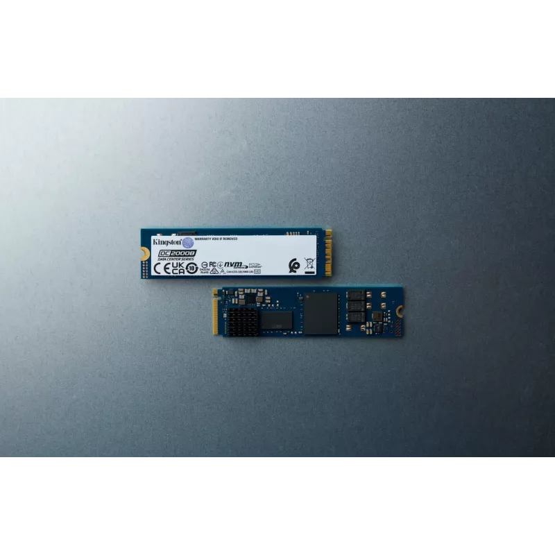 Kingston Technology DC2000B 480GB PCIe 4.0 M.2 2280 Įmonės SSD