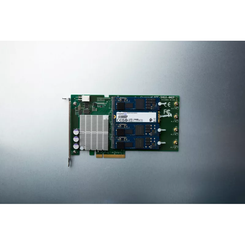 Kingston Technology DC2000B 480GB PCIe 4.0 M.2 2280 Įmonės SSD