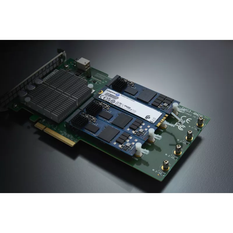 Kingston Technology DC2000B 480GB PCIe 4.0 M.2 2280 Įmonės SSD
