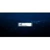 Kingston Technology DC2000B 480GB PCIe 4.0 M.2 2280 Įmonės SSD