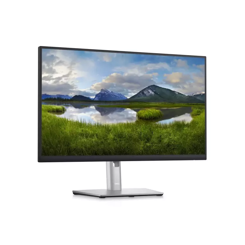 Monitorius DELL P2423D 23,8 col. LCD QHD 2560 x 1440