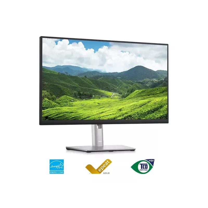 Monitorius DELL P2423D 23,8 col. LCD QHD 2560 x 1440